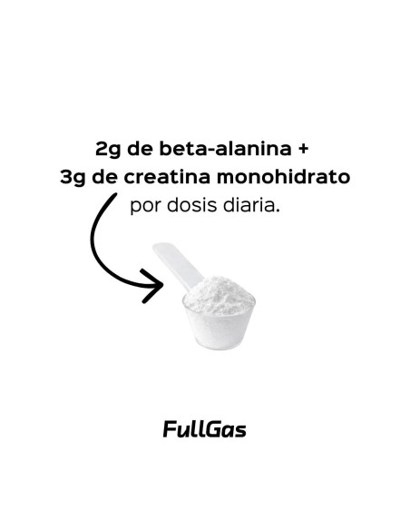 Betacrea Fusion (bêta-Alanine + créatine monohydrate) - Poudre - 300g