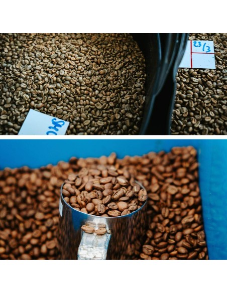 Café spécialisé - Grain - Colombie - 250g