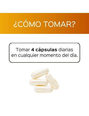 Super vitamine D avec magnésium + zinc + k2 - Capsules - 30 tomas