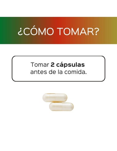 Megaflora (probiotique) | 2B UFC avec une survie bactérienne de 90%