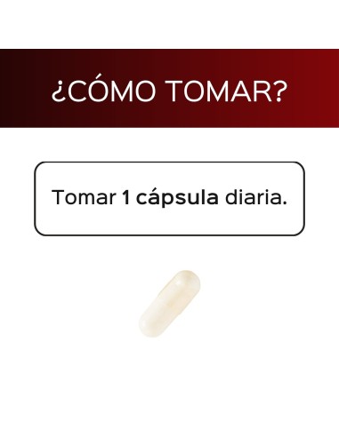 Levapain (pois de Levgen + ®) - Formule antioxydante * - Capsules - 30 tomas