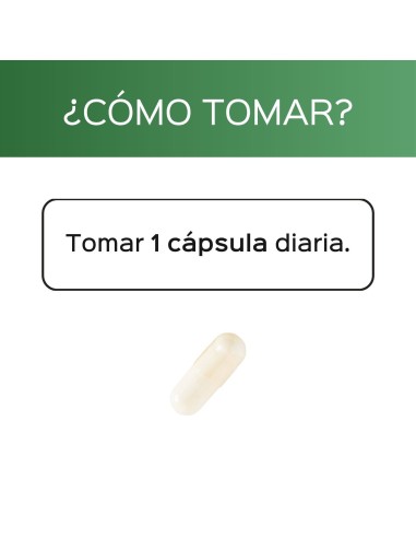 Même + Betain - Capsules - 60 tomas