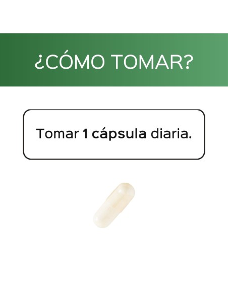 Même + Betain - Capsules - 60 tomas