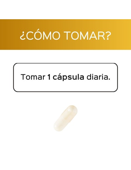 Vitamina D3-K2 - Cápsulas - 60 tomas