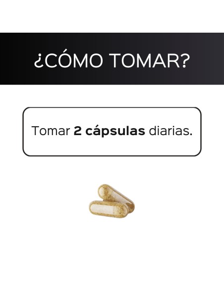 Ashwagandha (KSM-66®) - Capsules - 30 tomas