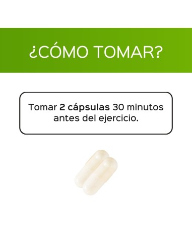 Alcar (acétyl l-Carnitine) - 120 capsules