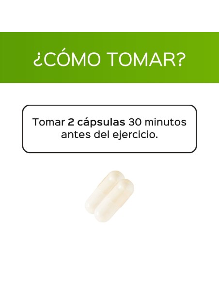 Alcar (acétyl l-Carnitine) - 120 capsules