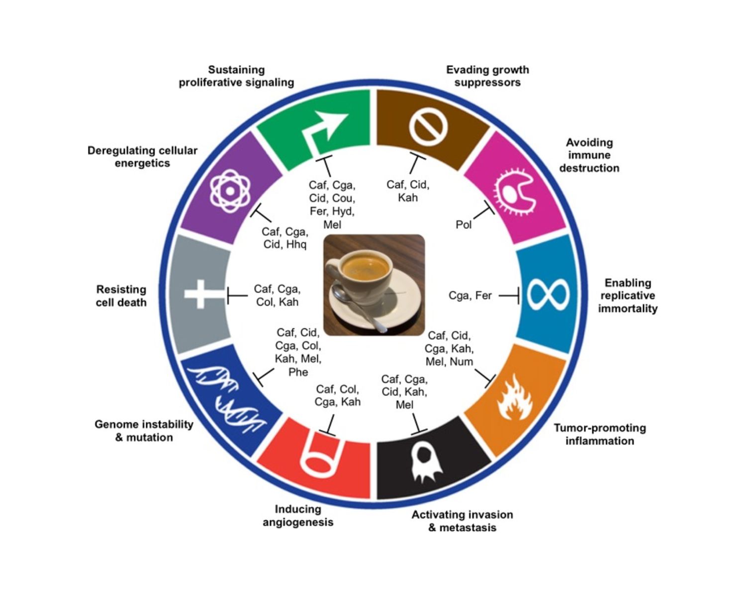 El Café: Más que un Estimulante – Beneficios, Tipos y Preparación ...