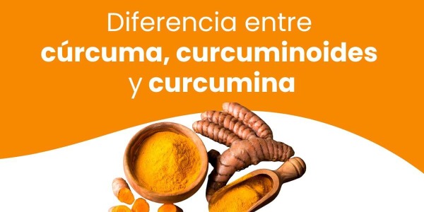 ¿En qué se diferencian la Cúrcuma, Curcumina y Curcuminoides?