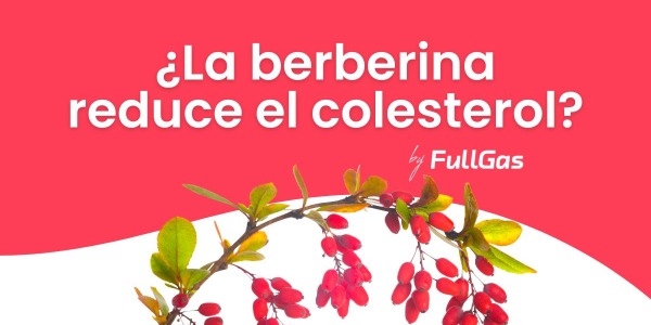 ¿La Berberina reduce el colesterol?