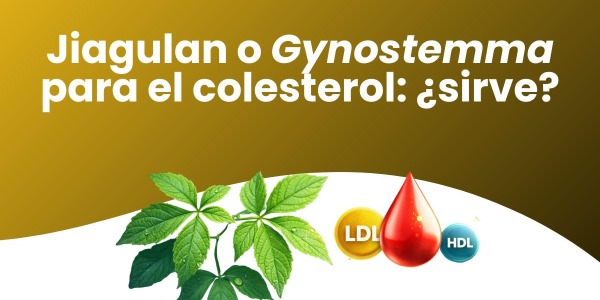Jiaogulan o Gynostemma para el colesterol: ¿sirve?