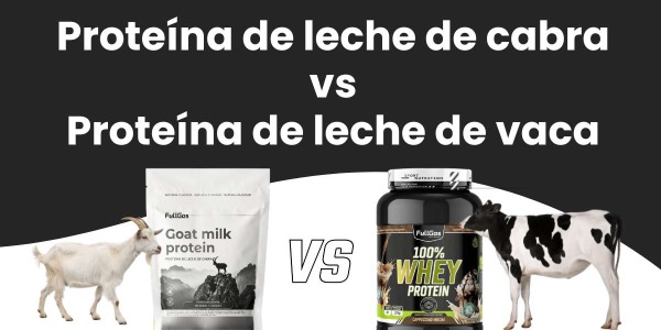 Proteína de leche de cabra o vaca: ¿cuáles son las diferencias?