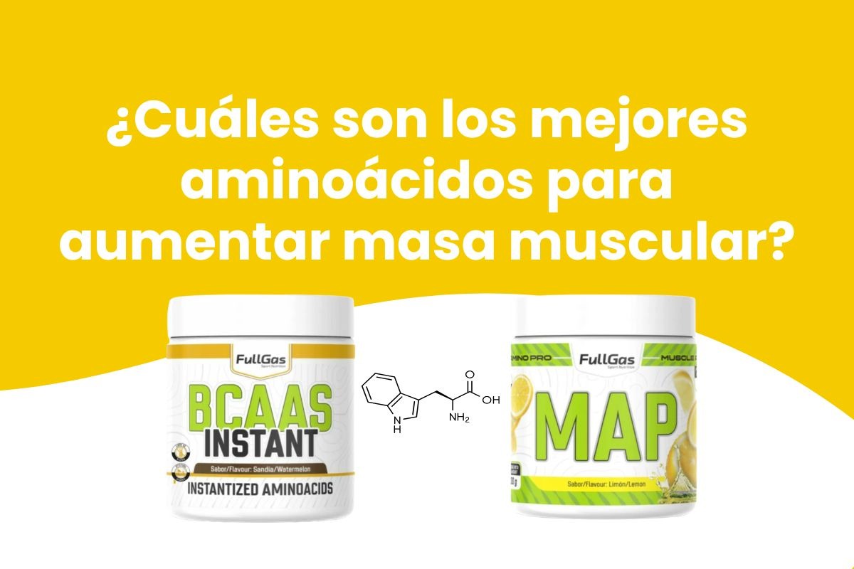 l carnitina como tomarla para ganar masa muscular LOS EFECTOS LA L-CARNITINA: REDUCTOR DE GRASA, MEJORA ENERGTICA Y ANTIOXIDANTE Gua completa sobre la L-Carnitina: