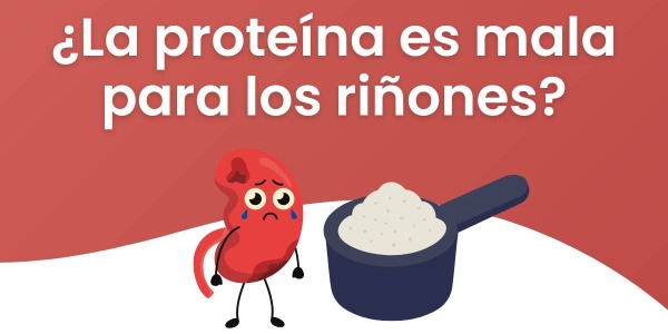 ¿La proteína es mala para los riñones?