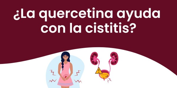 ¿La quercetina ayuda con la cistitis?
