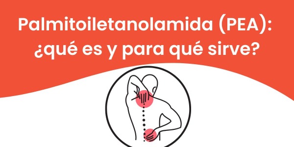 Palmitoiletanolamida (PEA): ¿qué es y para qué sirve?