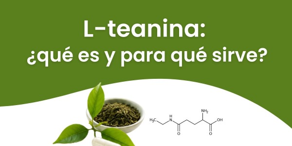 L-teanina: ¿qué es y para qué sirve?