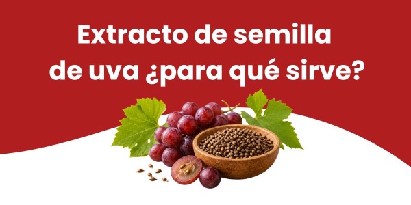 Extracto de semilla de uva ¿para qué sirve?