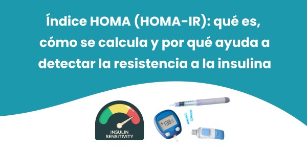 Índice HOMA (HOMA-IR): qué es, cómo se calcula y por qué ayuda a detectar la resistencia a la insulina