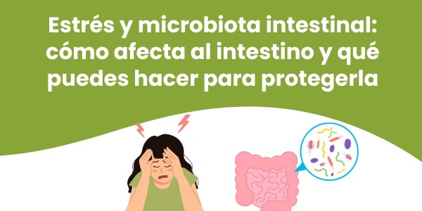 Estrés y microbiota intestinal: cómo afecta al intestino y qué puedes hacer para protegerla