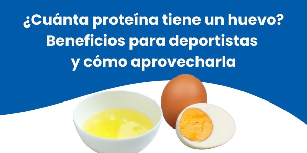 ¿Cuánta proteína tiene un huevo? Beneficios para deportistas y cómo aprovecharla