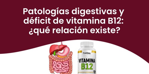 Patologías digestivas y déficit de vitamina B12: ¿qué relación existe?
