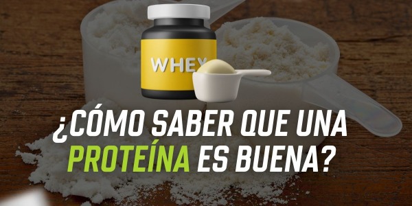 ¿Cómo saber que una Proteína es Buena? | Proteína de Suero (Whey Protein)