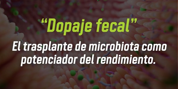 “Dopaje fecal”: El trasplante de microbiota como potenciador del rendimiento